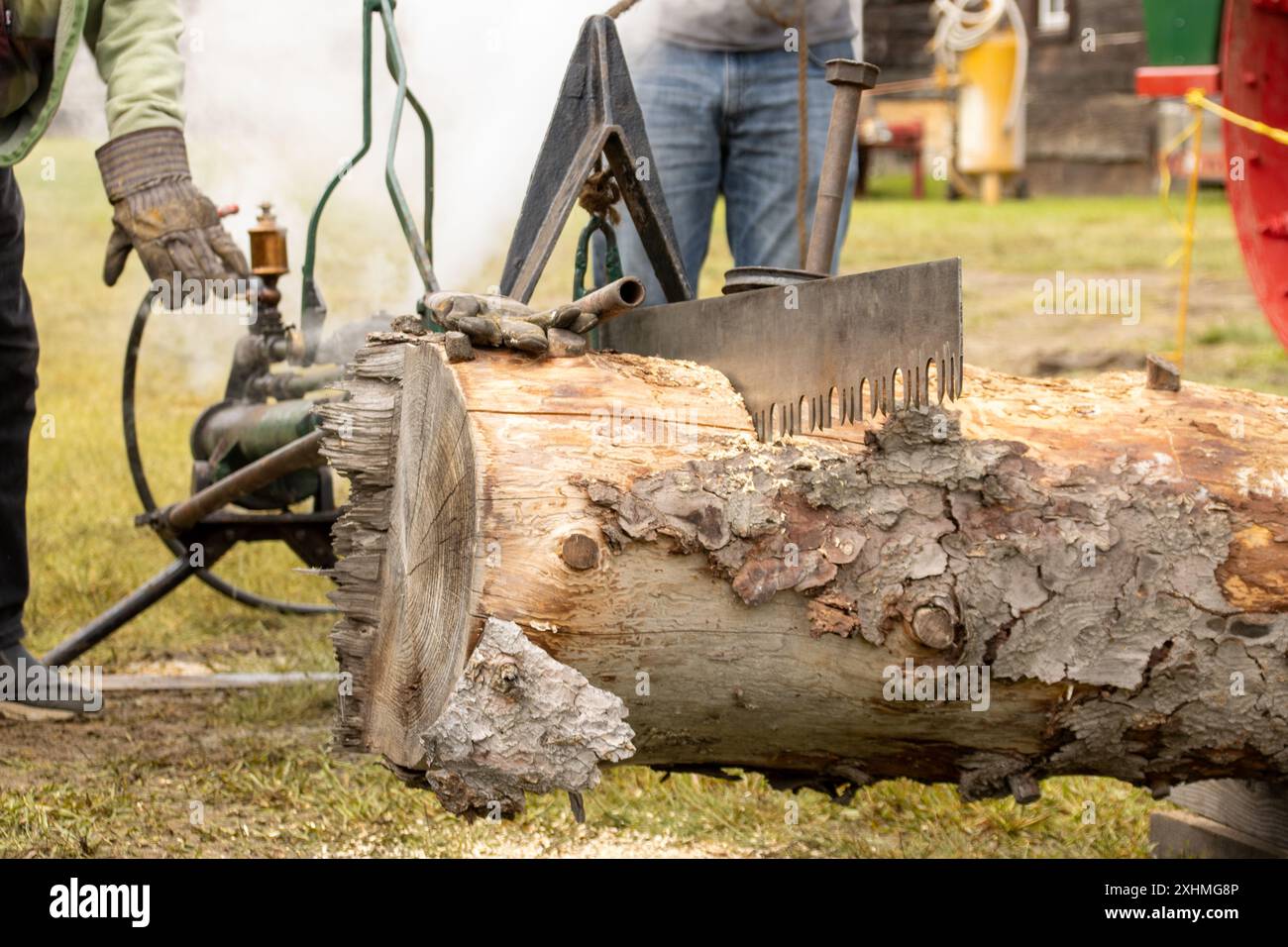 Steam-powered saw cutting a log at a vintage machinery event Stock Photo