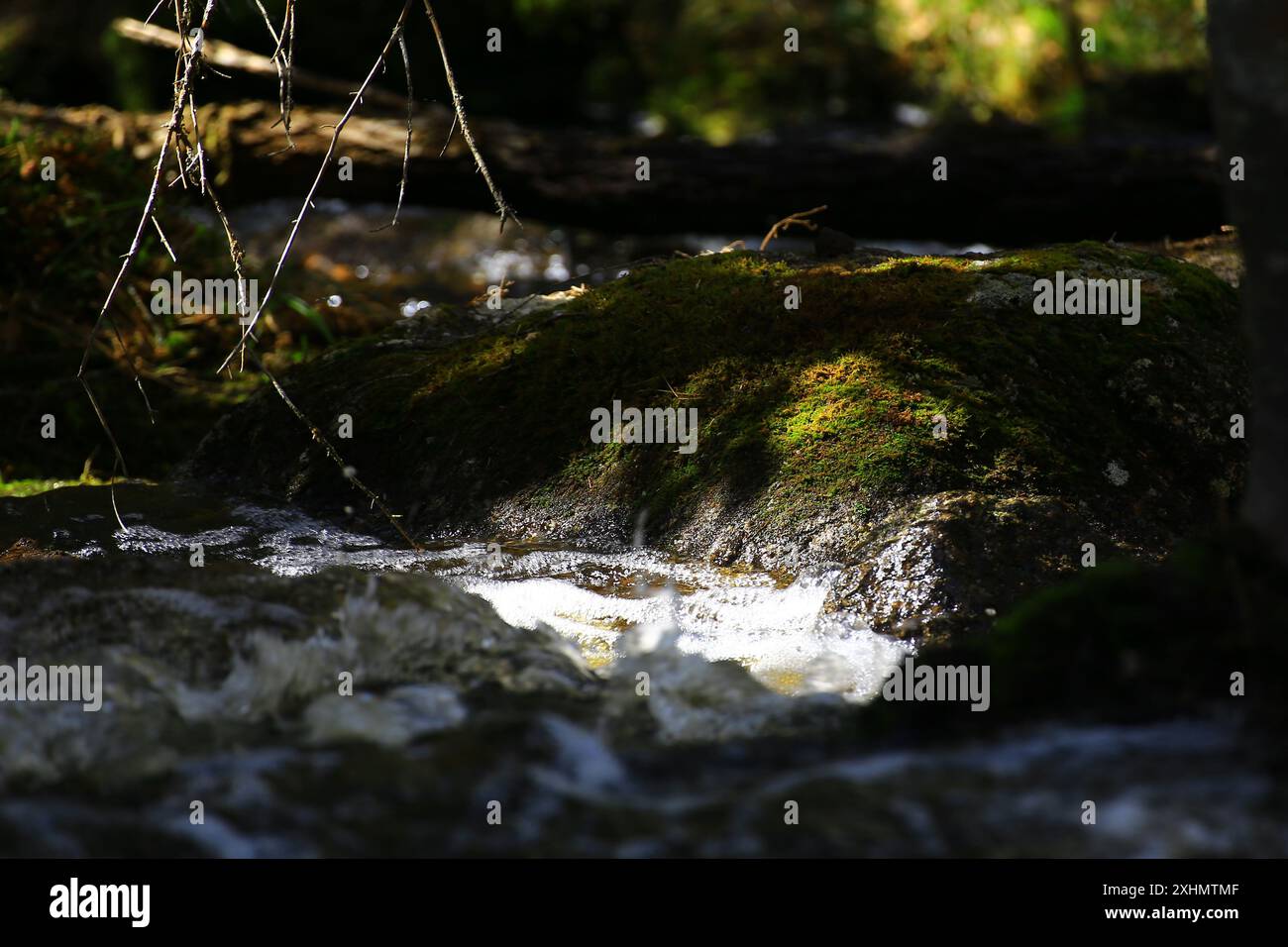 Stream water flowing rock close up hi-res stock photography and images ...