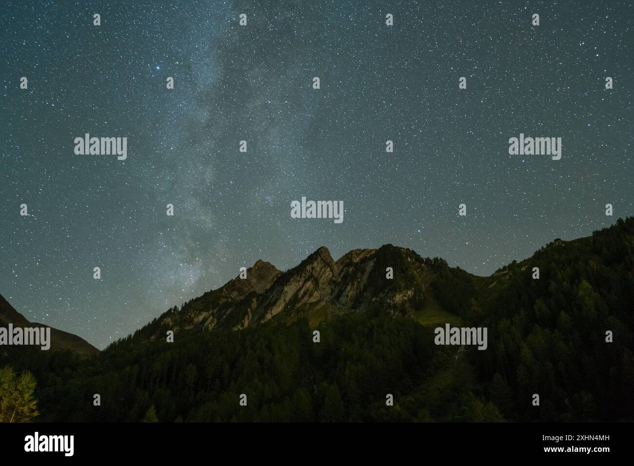 Starry sky with milky way over a forest hi-res stock photography and ...