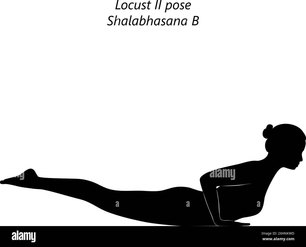 Silhouette of young woman practicing Shalabhasana B yoga pose. Locust ...