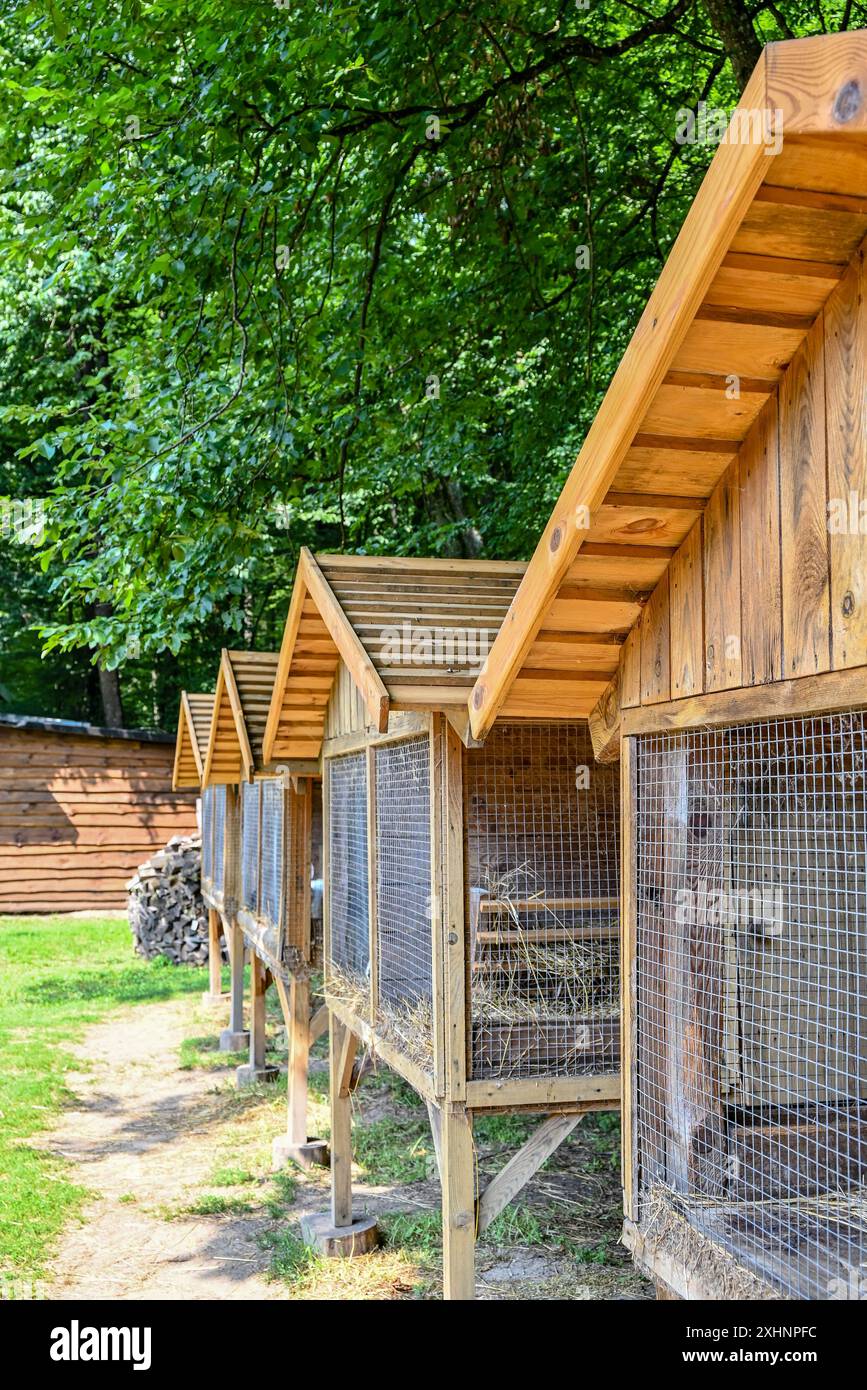 A cozy wooden house for rabbits in a shady forest, surrounded by dense greenery and sunlight, creates a peaceful atmosphere of a country idyll. Stock Photo
