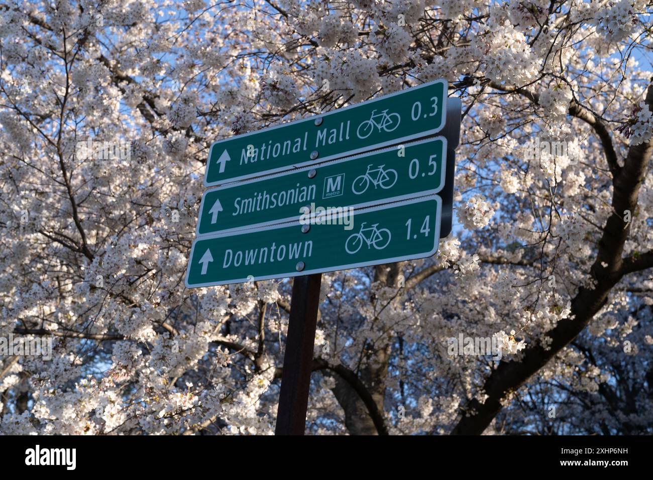 Directional signs on the National Mall of Washington DC for the Smithsonian metro station and downtown DC, during cherry blossom season Stock Photo