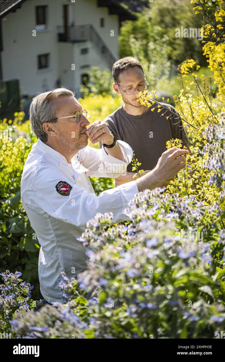 France, Haute Savoie, Annecy le Vieux, Le Clos des Sens gastronomic restaurant, chef Laurent Petit, with Lionel Perron, gardner Stock Photo