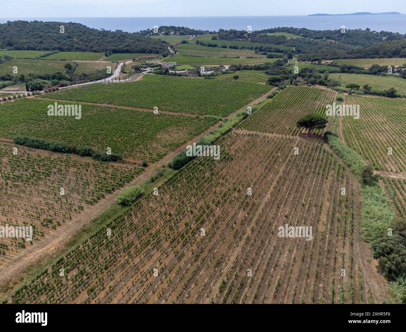 aerial-view-on-hills-sea-houses-and-green-vineyards-cotes-de-provence