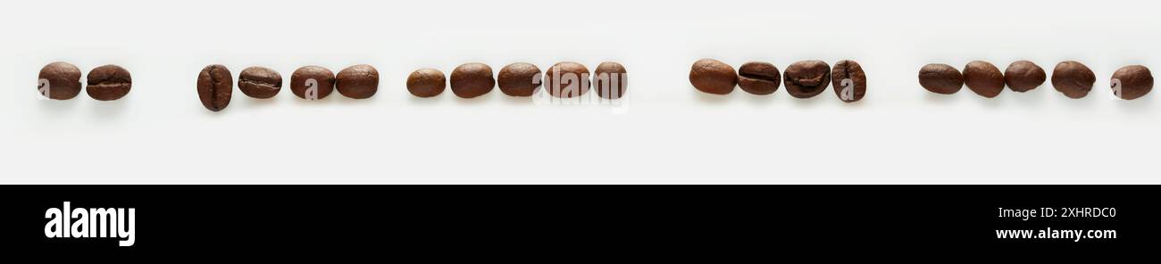 A row of coffee beans on a white background Stock Photo - Alamy