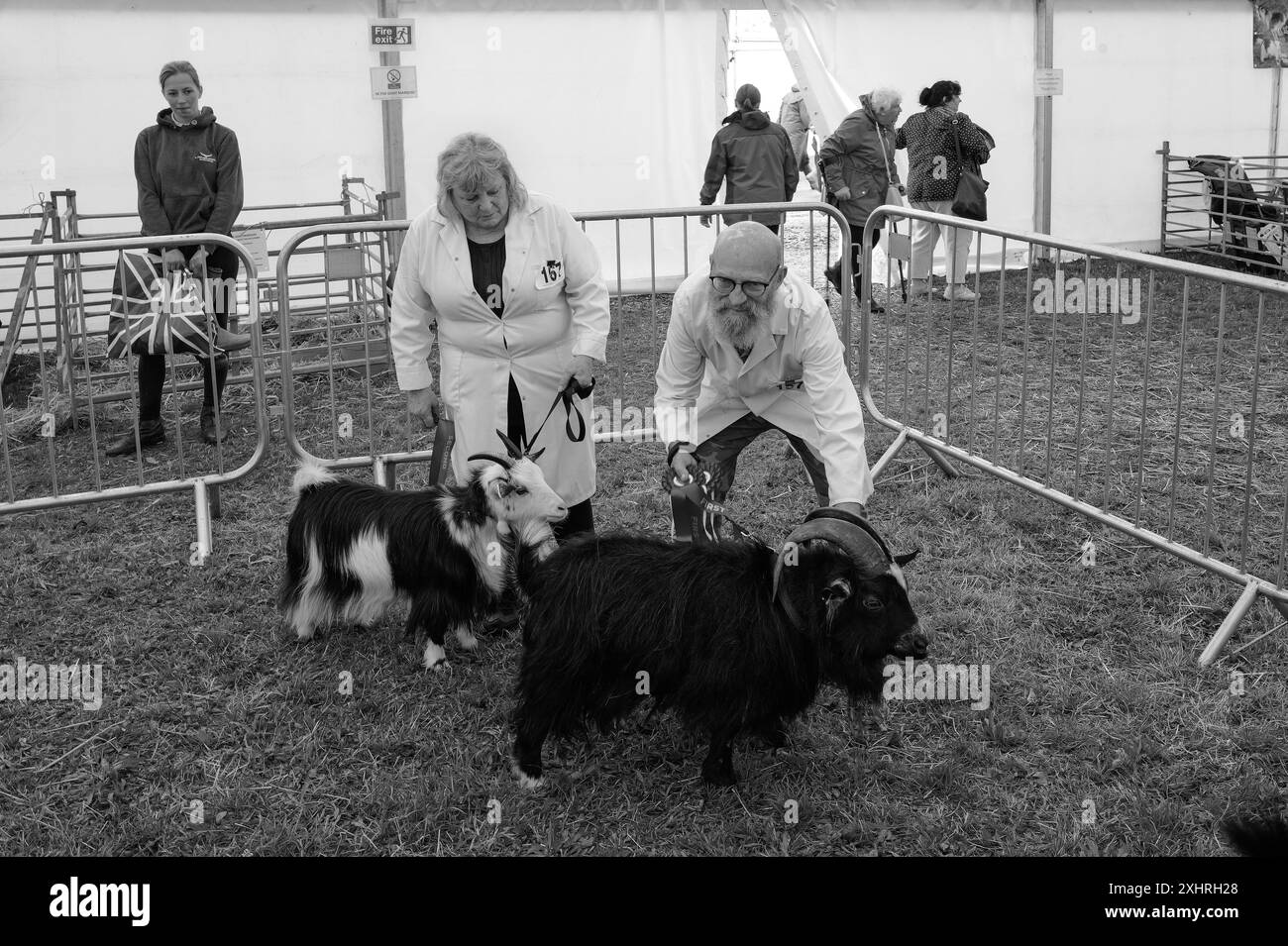 Stithians cornwall show Black and White Stock Photos & Images - Alamy