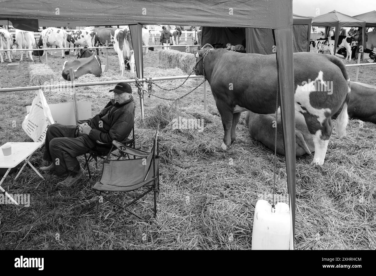 Stithians cornwall show Black and White Stock Photos & Images - Alamy