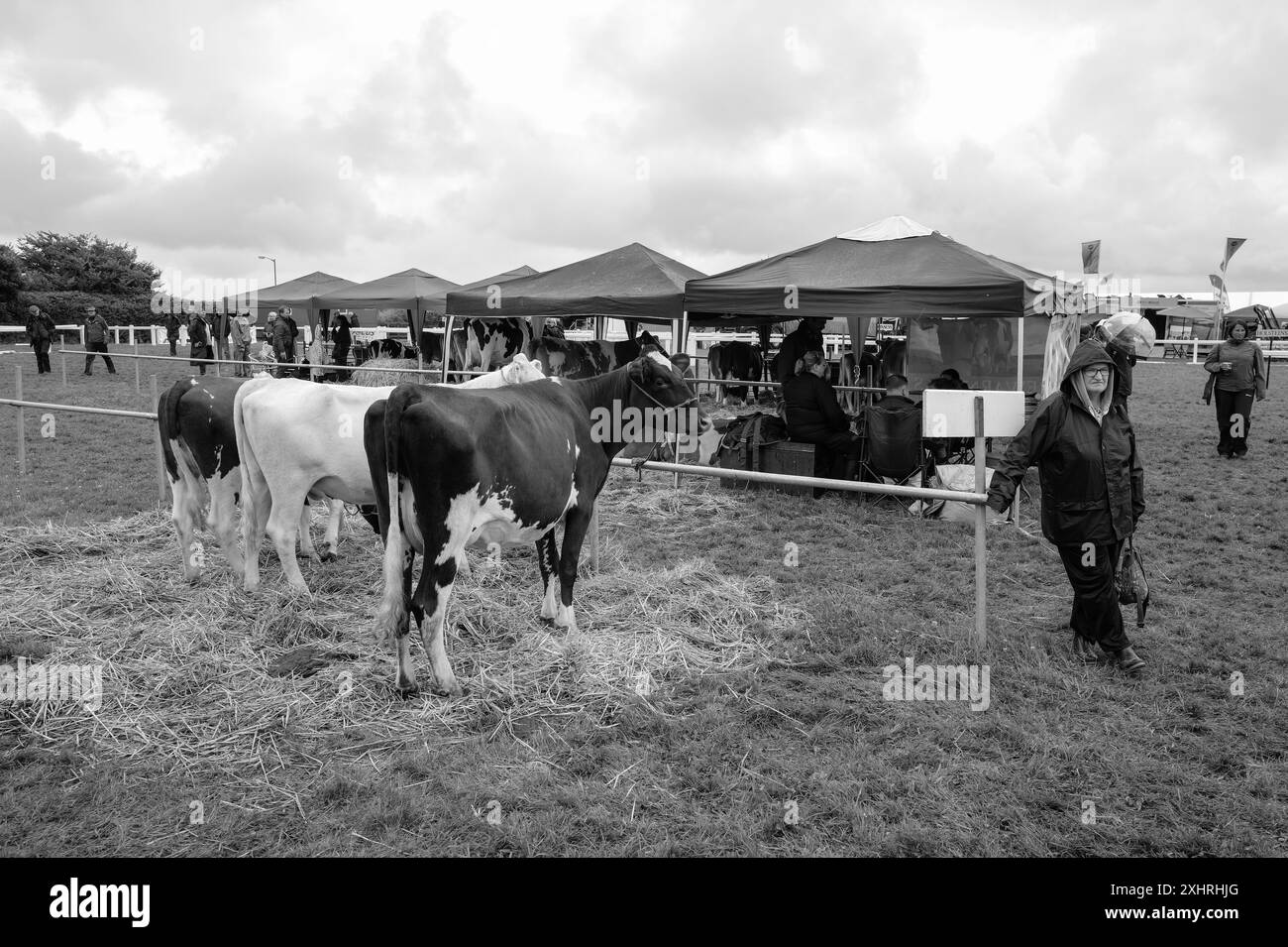 Stithians cornwall show Black and White Stock Photos & Images - Alamy