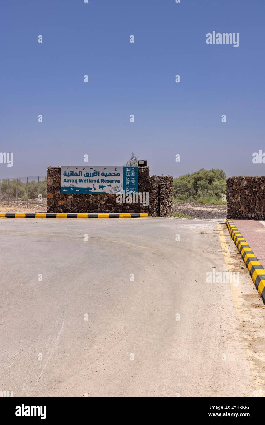 Azraq wetlands reserve hi-res stock photography and images - Alamy