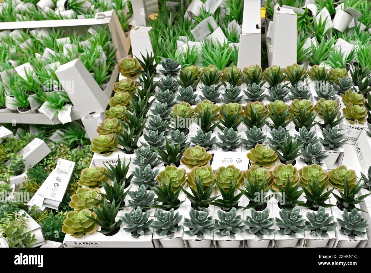 Ikea exhibition space plants Stock Photo - Alamy