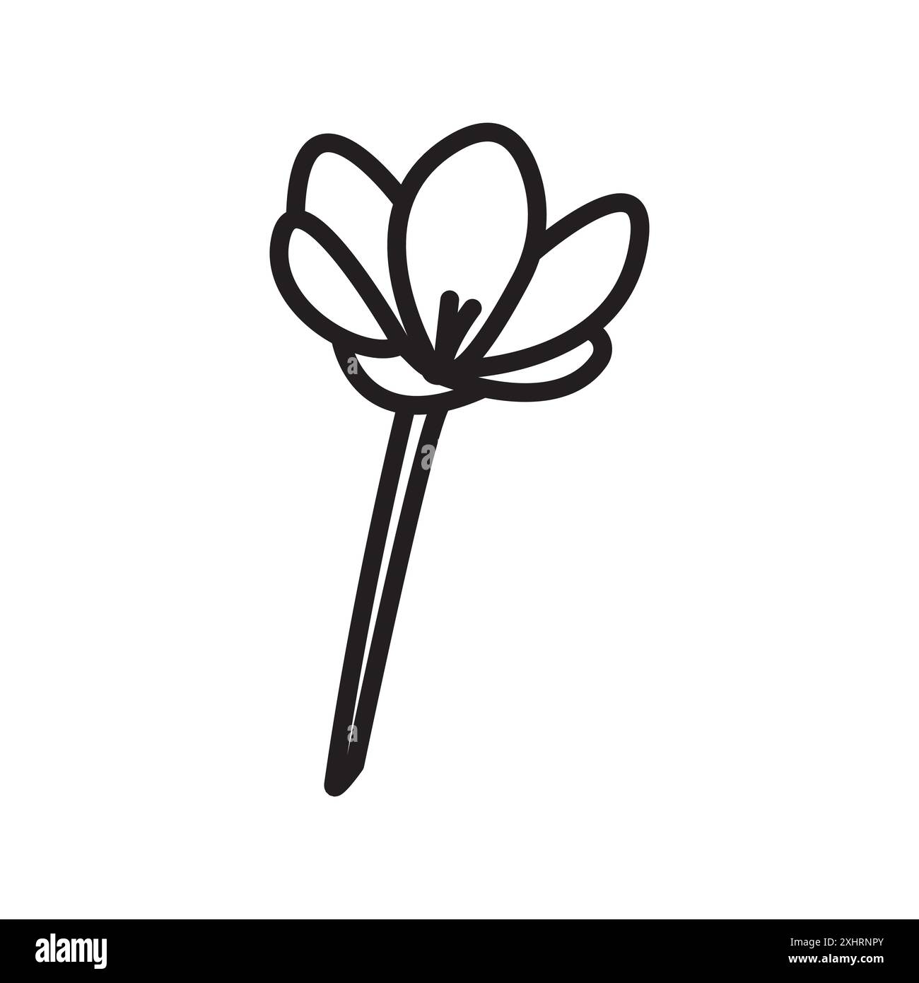 Crocus Icon Black line art vector in black and white outline set ...