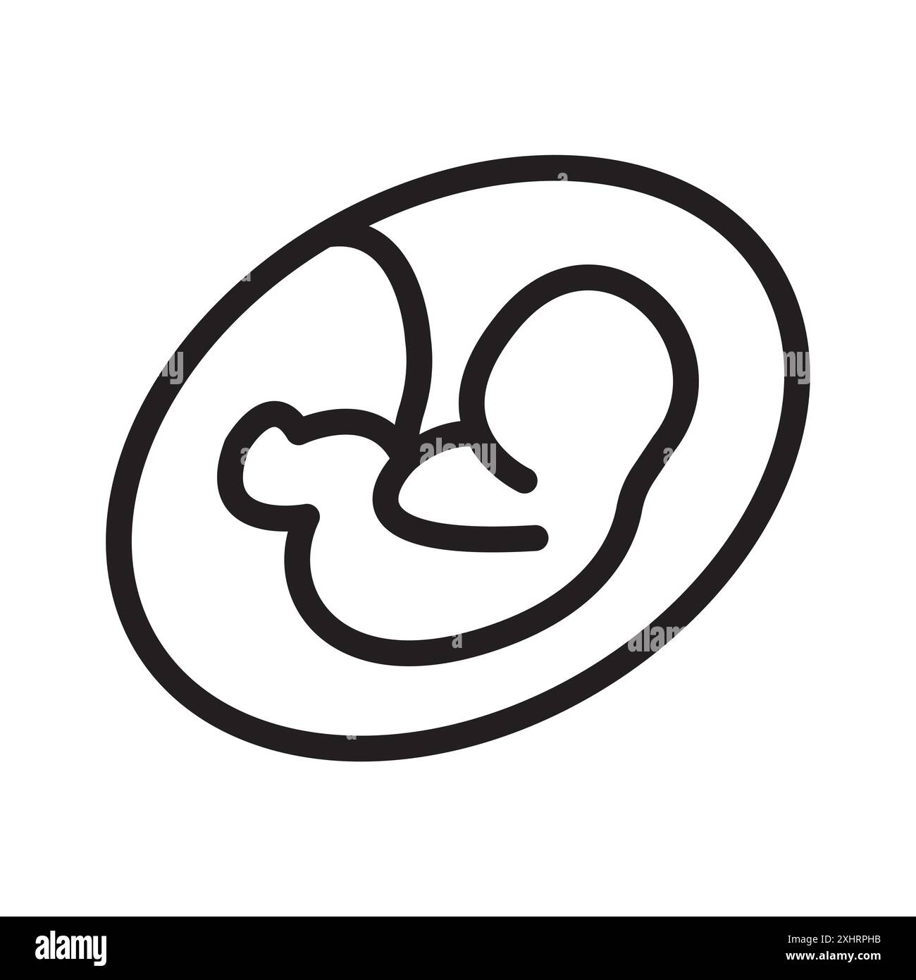 Embryo Child icon Black line art vector in black and white outline set ...