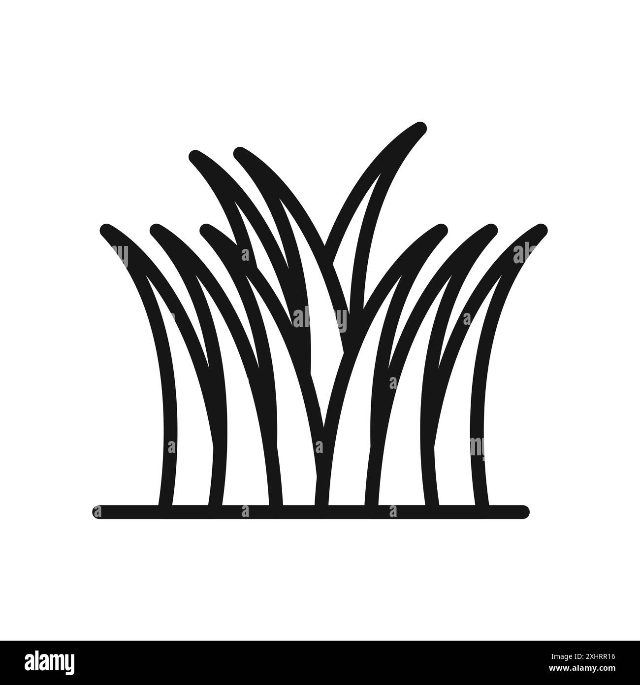 Grass icon Black line art vector in black and white outline set ...