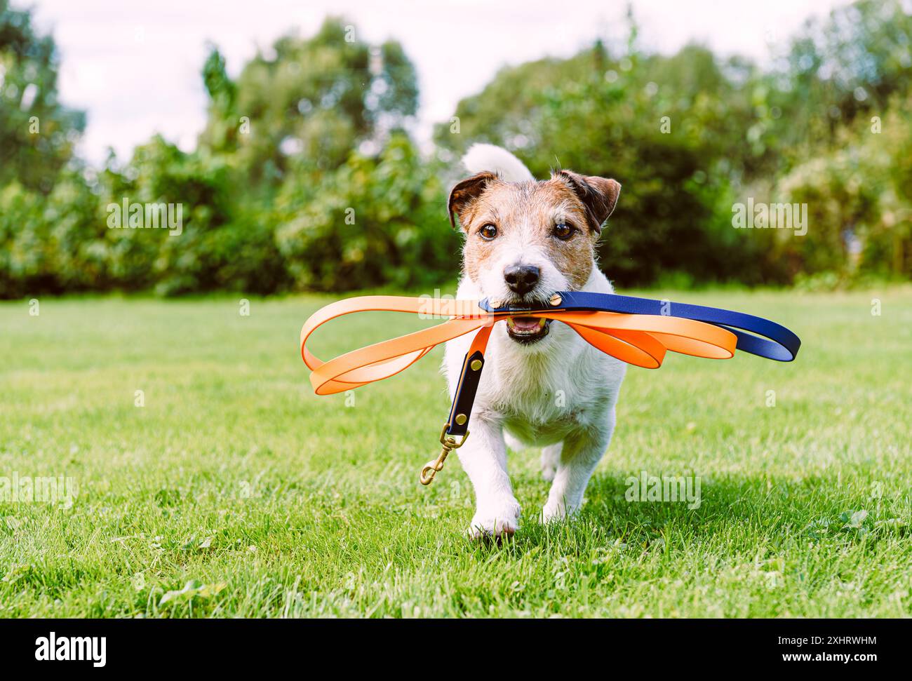 Mouth leash best sale