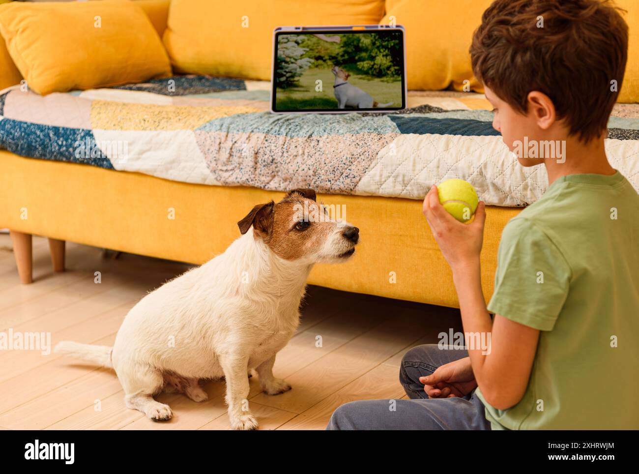 Boy watching online training on tablet computer and repeat commands with his pet dog Stock Photo
