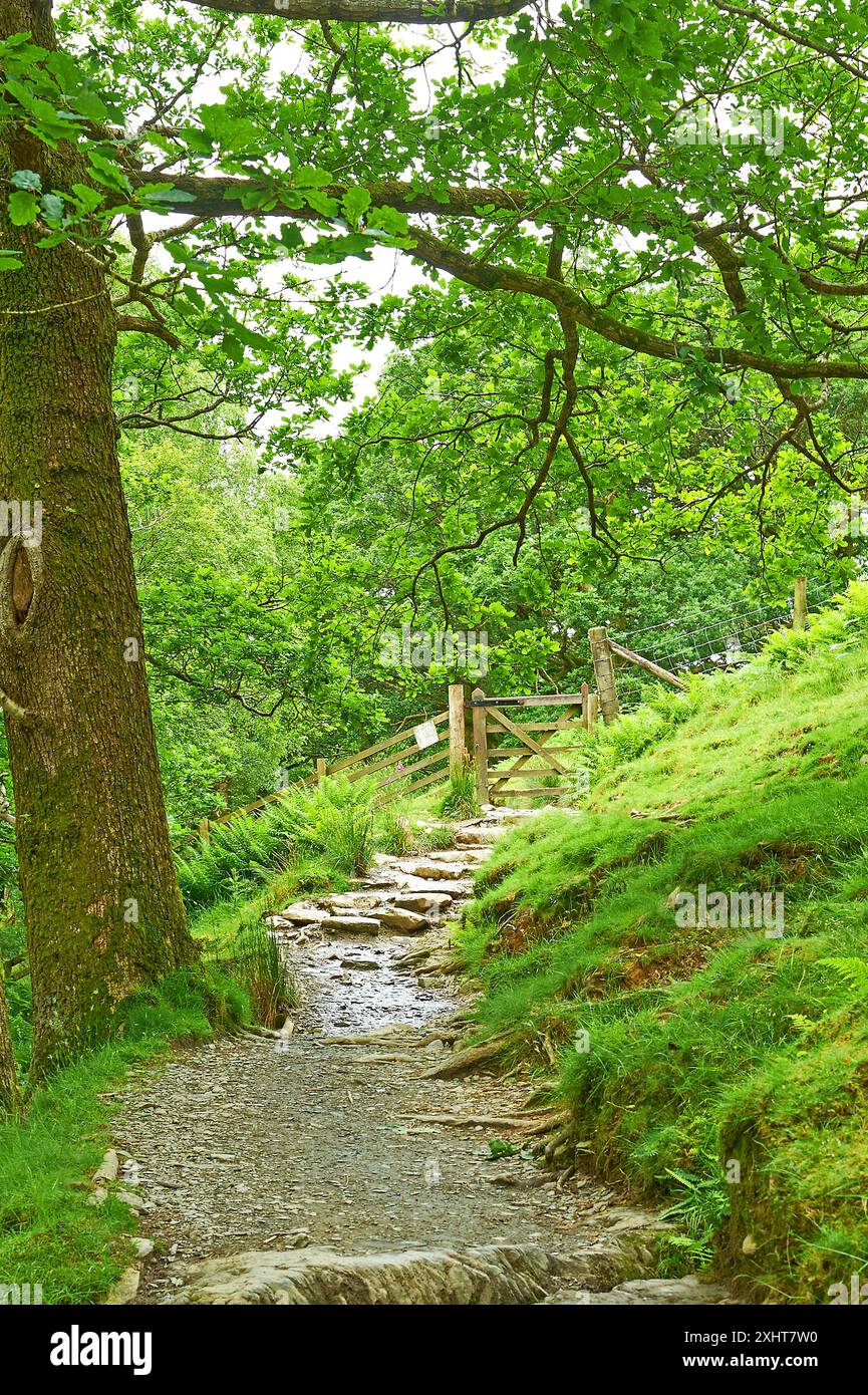 Clean Or Rough Path Rough path hi-res stock photography and images - Alamy