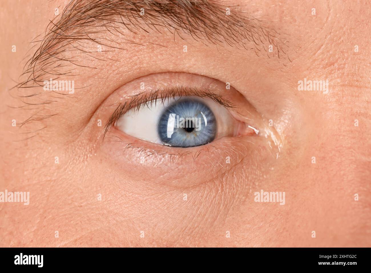 Macro photo of man with beautiful blue eyes Stock Photo - Alamy