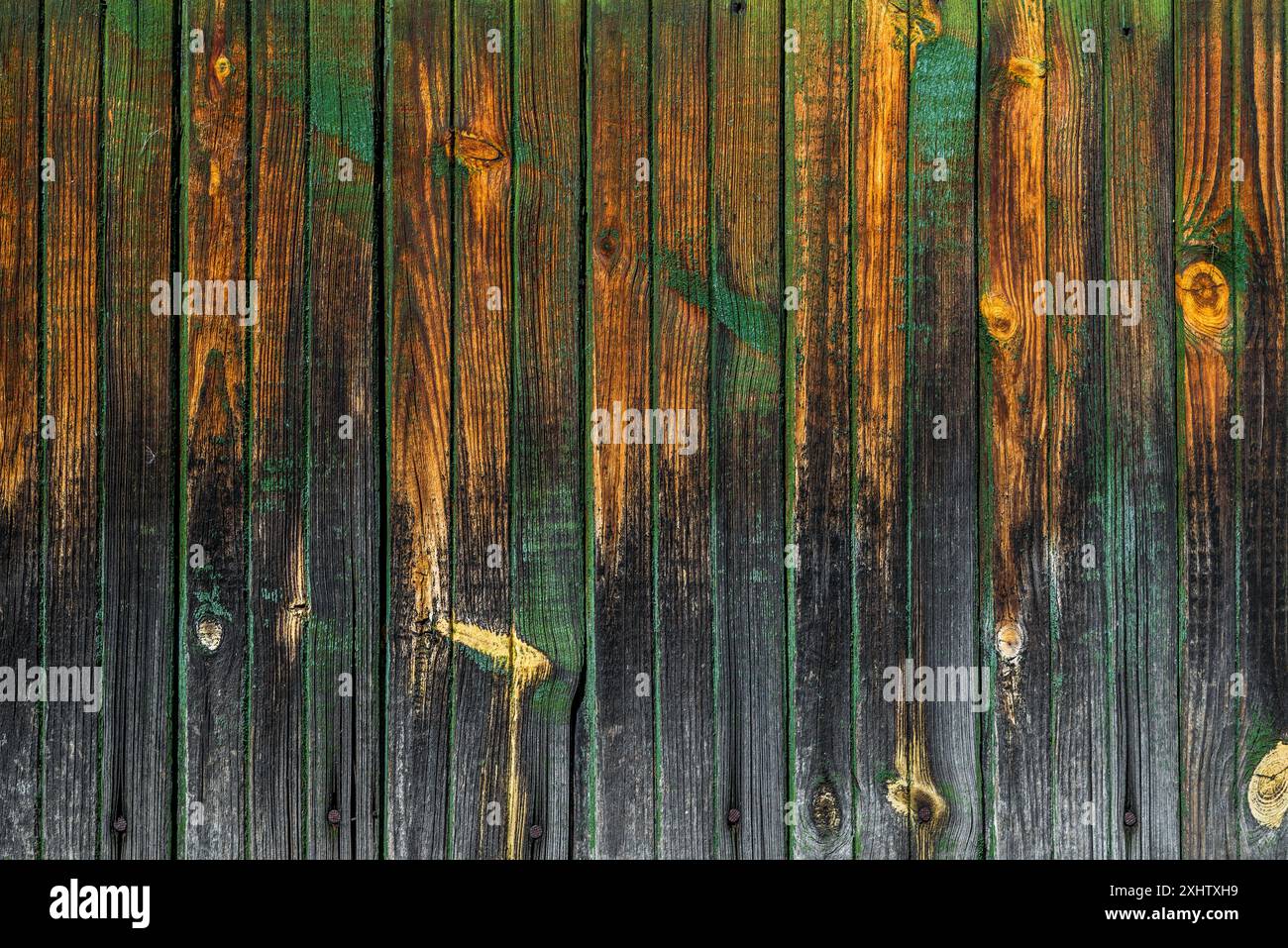 Gallery image with a fresh perspective