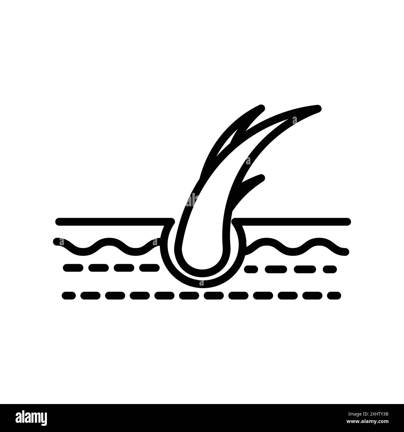 Hair Split Ends icon linear logo mark set collection in black and white for web Stock Vector