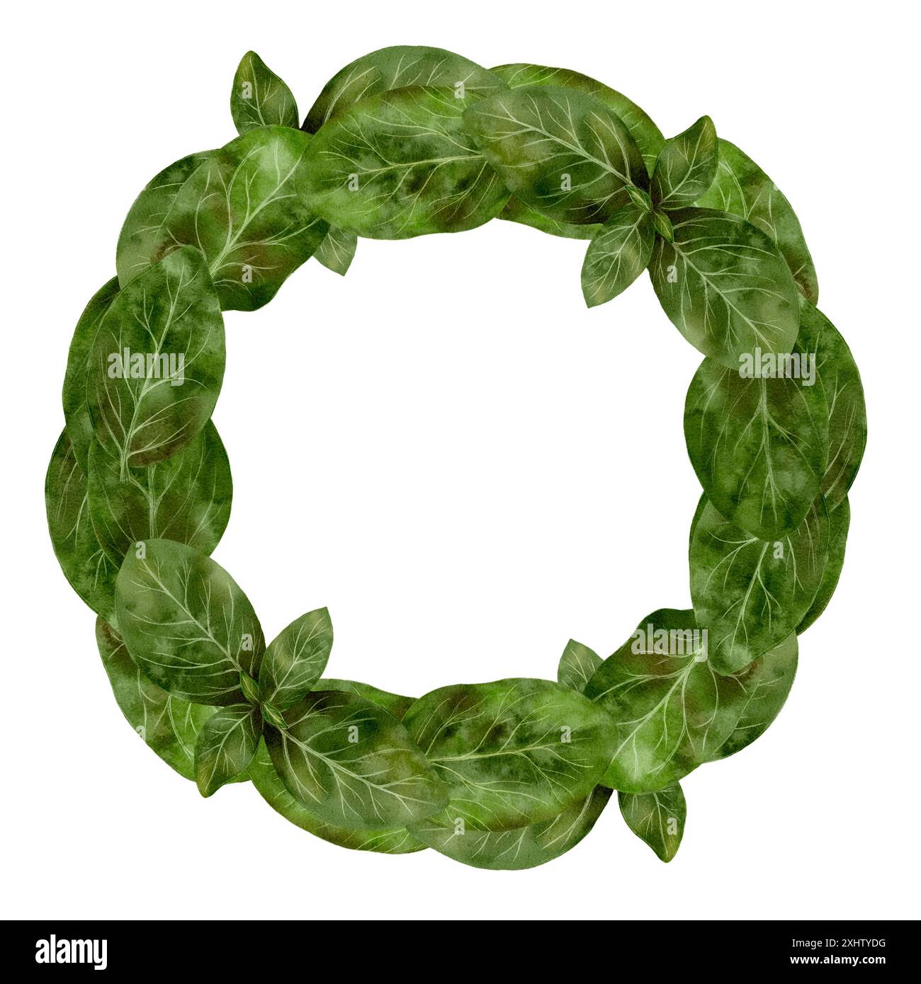 A simple yet elegant green leaf wreath forming a circular shape on a ...