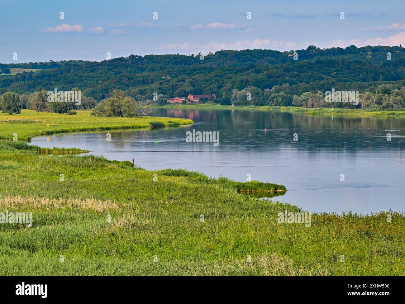 15 July 2024, Brandenburg, Criewen: View of the German-Polish border ...