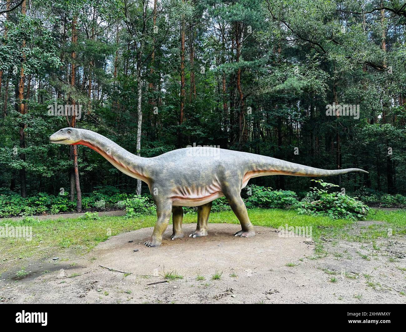 Realistic figure of the Vulcanodon dinosaur in the forest in Kazimierz, Sosnowiec. The park setting highlights the dinosaur in its natural environment Stock Photo