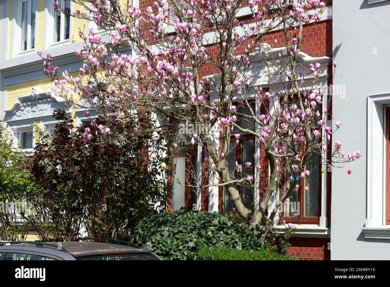 Residential buildings in spring, terraced houses, apartment buildings ...