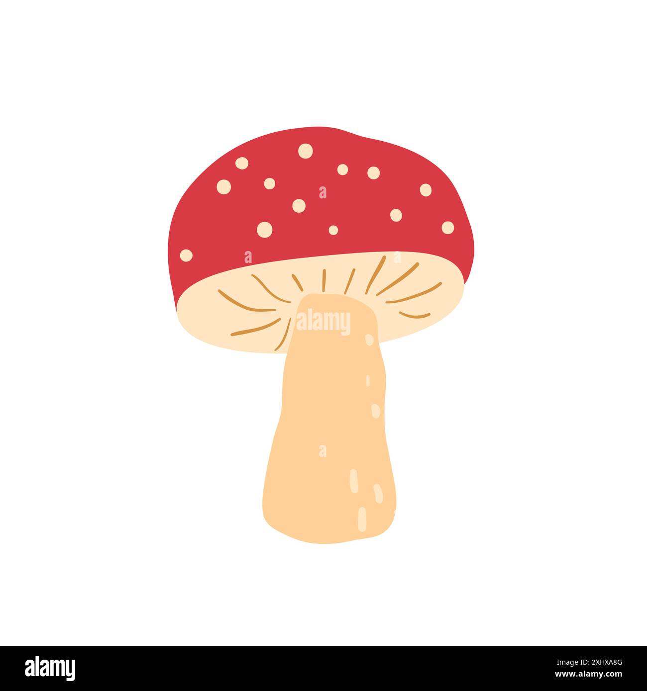Fly agaric isolated on white background. Vector hand drawn illustration ...
