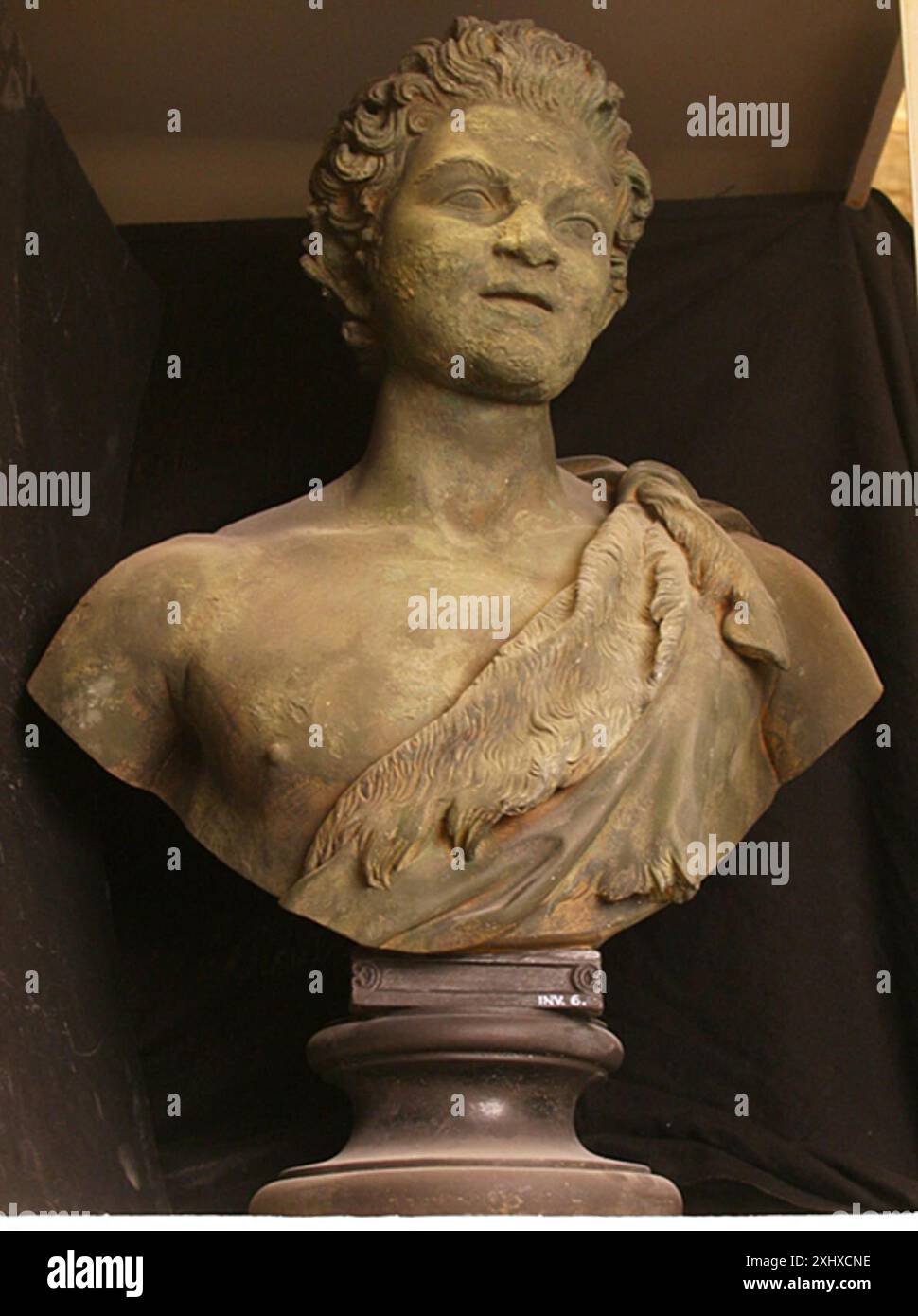 Bust of a young satyr showing classical features, upper body, and ...