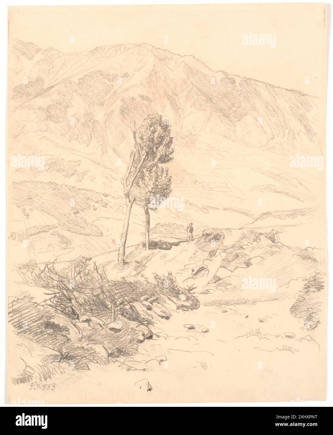 Drawing of an Italian mountain landscape featuring two prominent trees ...