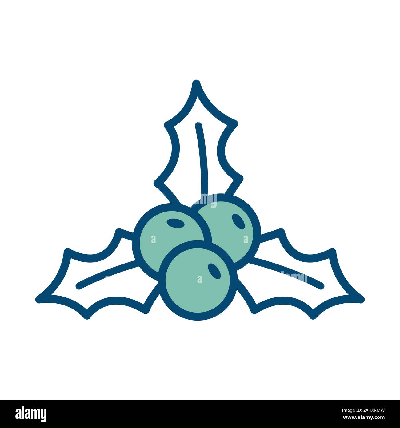 Aquifolium vector vectors hi-res stock photography and images - Alamy
