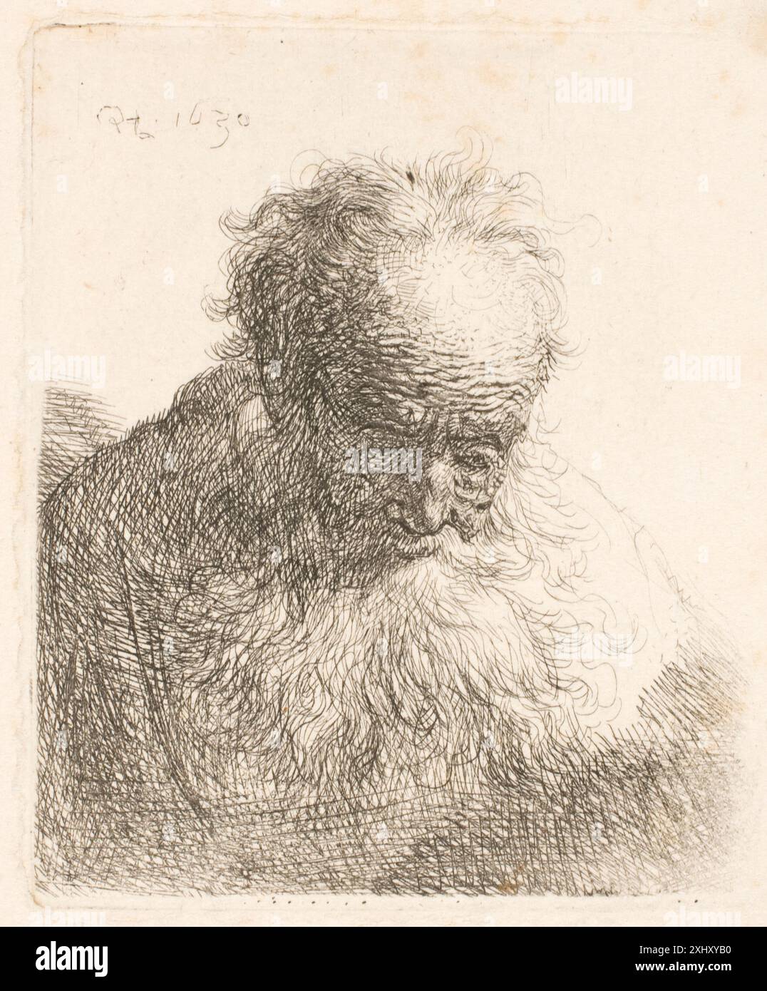 An engraving by Rembrandt van Rijn showing a bust of an old man with a ...