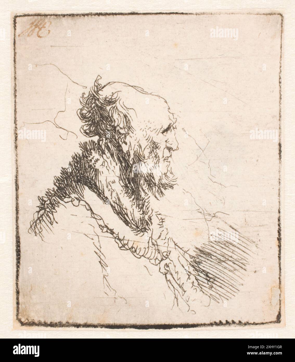 An engraving by Rembrandt showing a bald old man with a short beard in ...