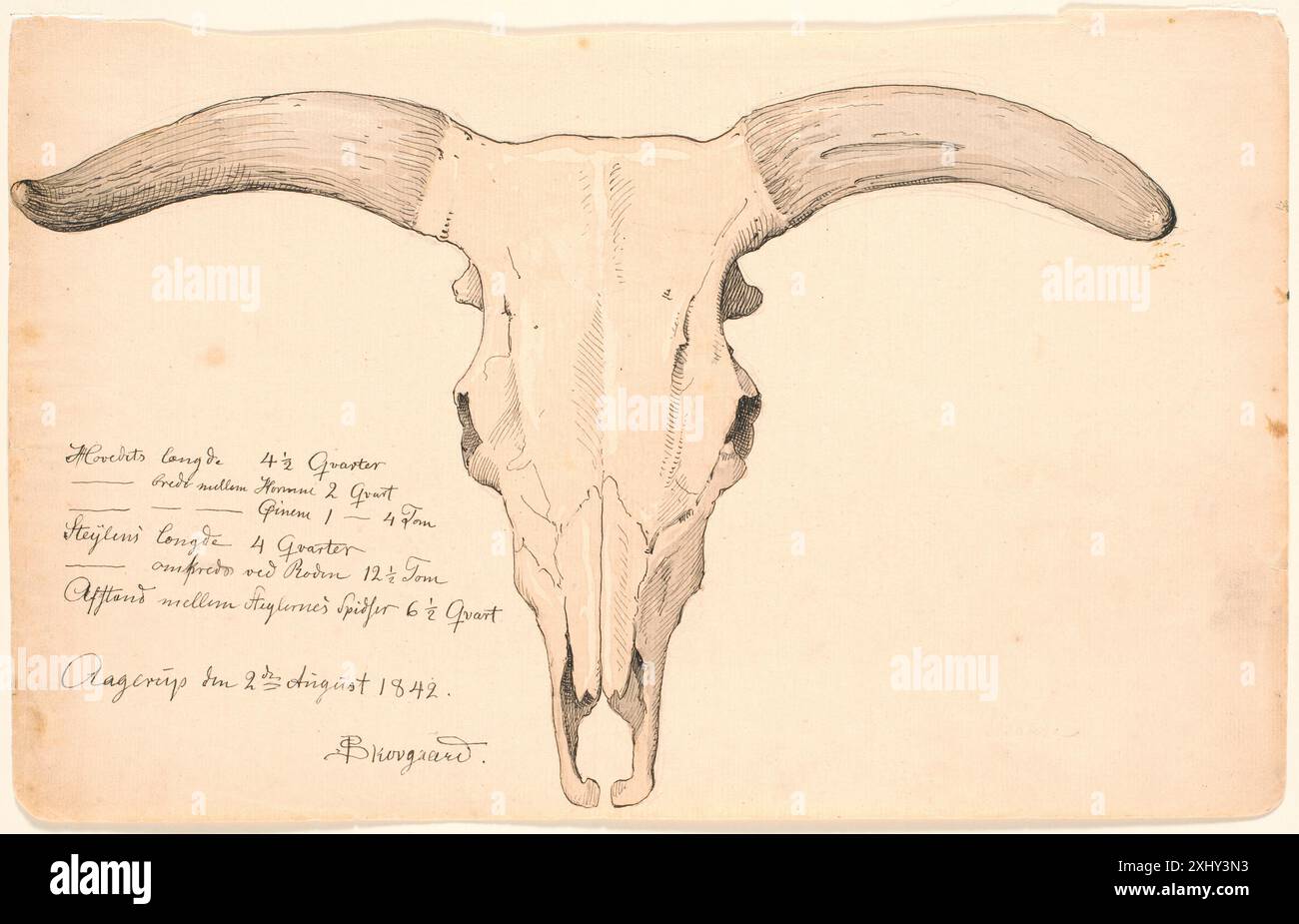 C p c hi-res stock photography and images - Page 36 - Alamy, image size:1300x925