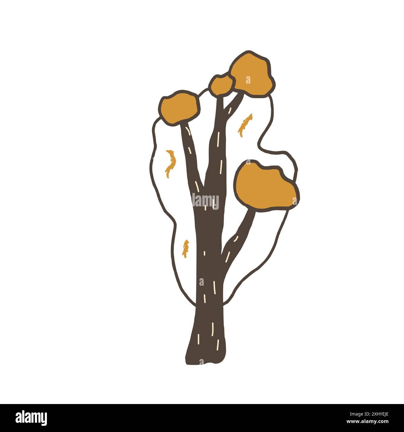 Fall tree. Vector hand drawn doodle illustration on white background ...