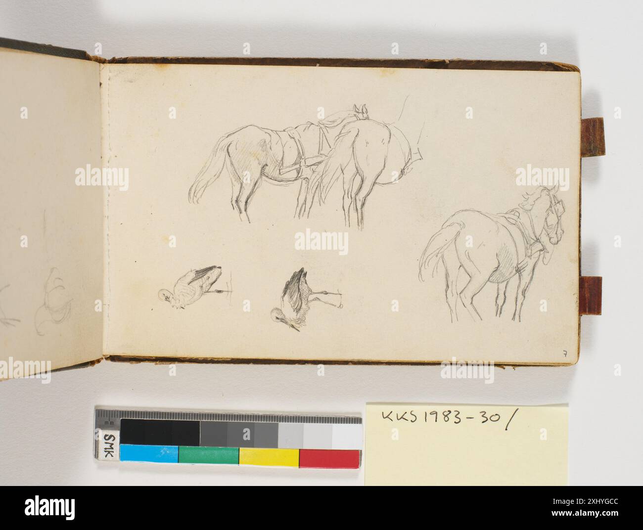 A drawing by P.C. Skovgaard showing horses with harness and two studies ...
