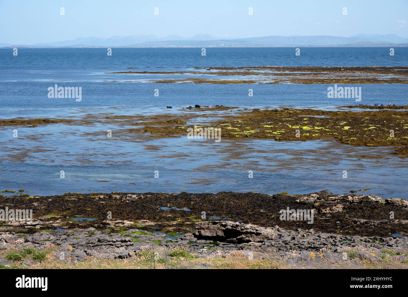 The seal colony beach on the Inis Mor, Co, Galway, Inishmore, Aran Island, Ireland Stock Photo