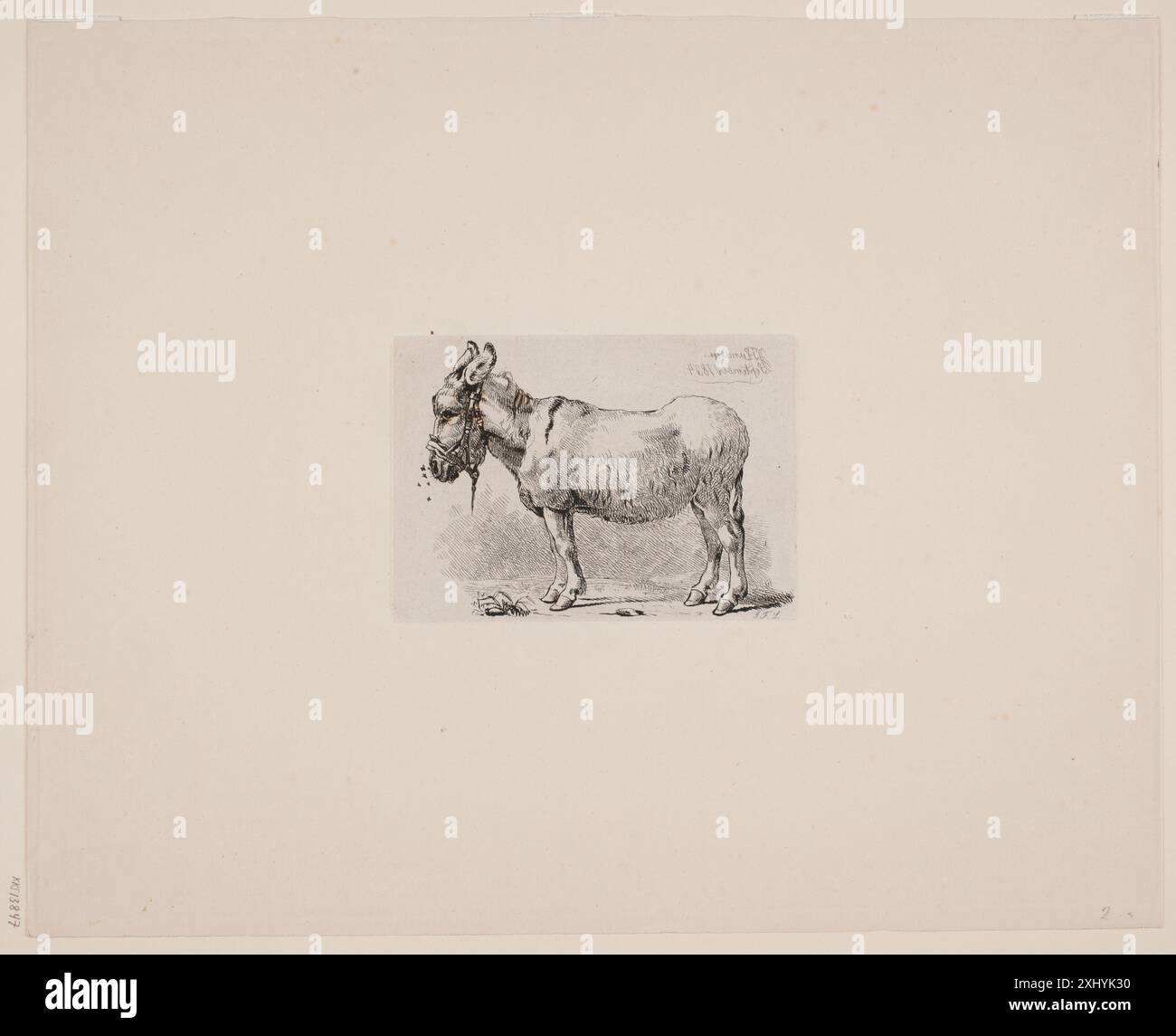 Rural donkey graphic hi-res stock photography and images - Alamy
