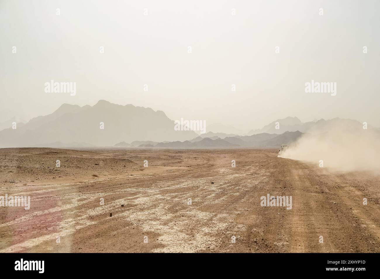 Bedouin Village, Oriental desert near Safafa, Egypt, Africa Stock Photo