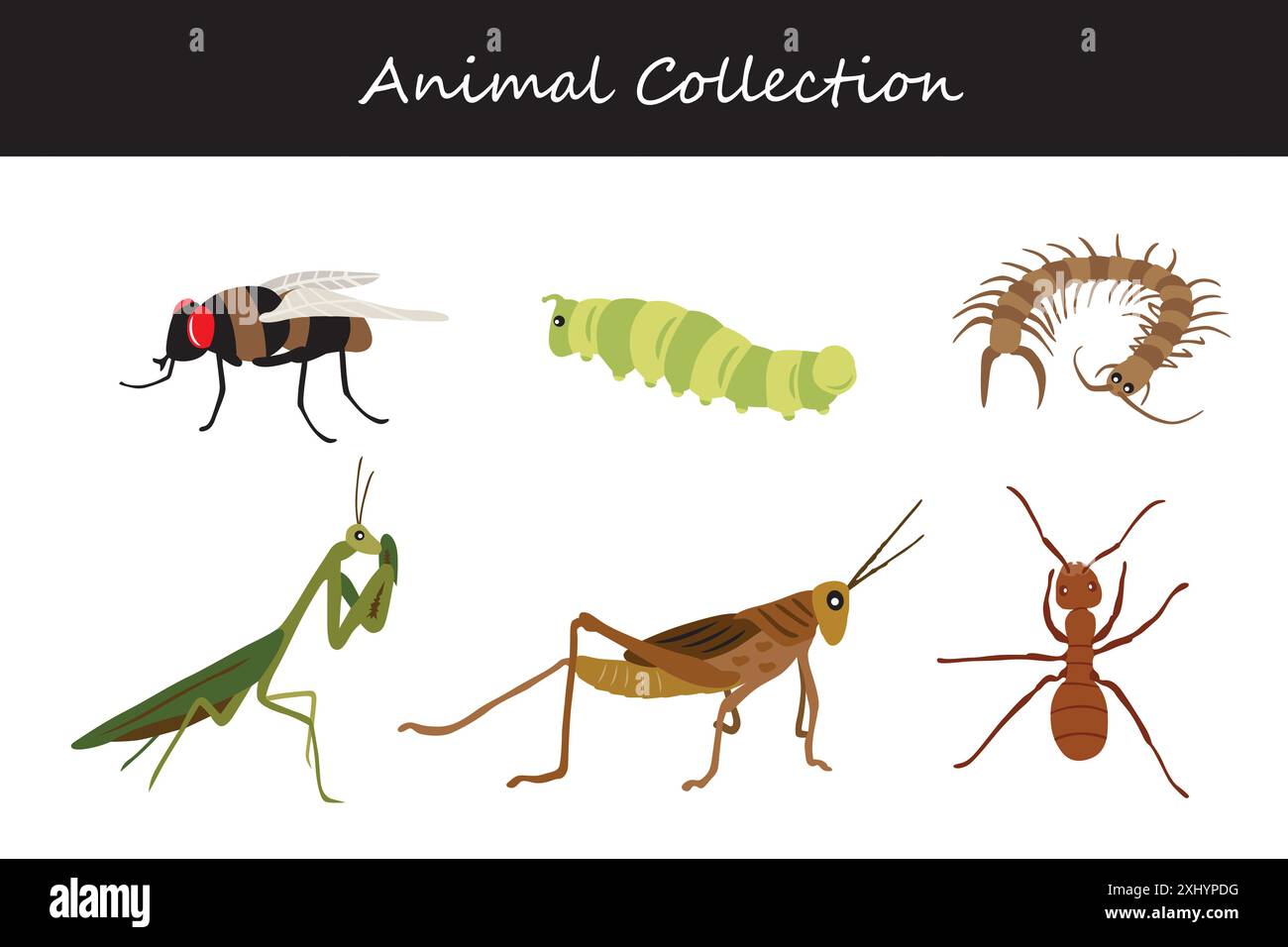 Animals collection. Flat style vector illustration Stock Vector Image ...