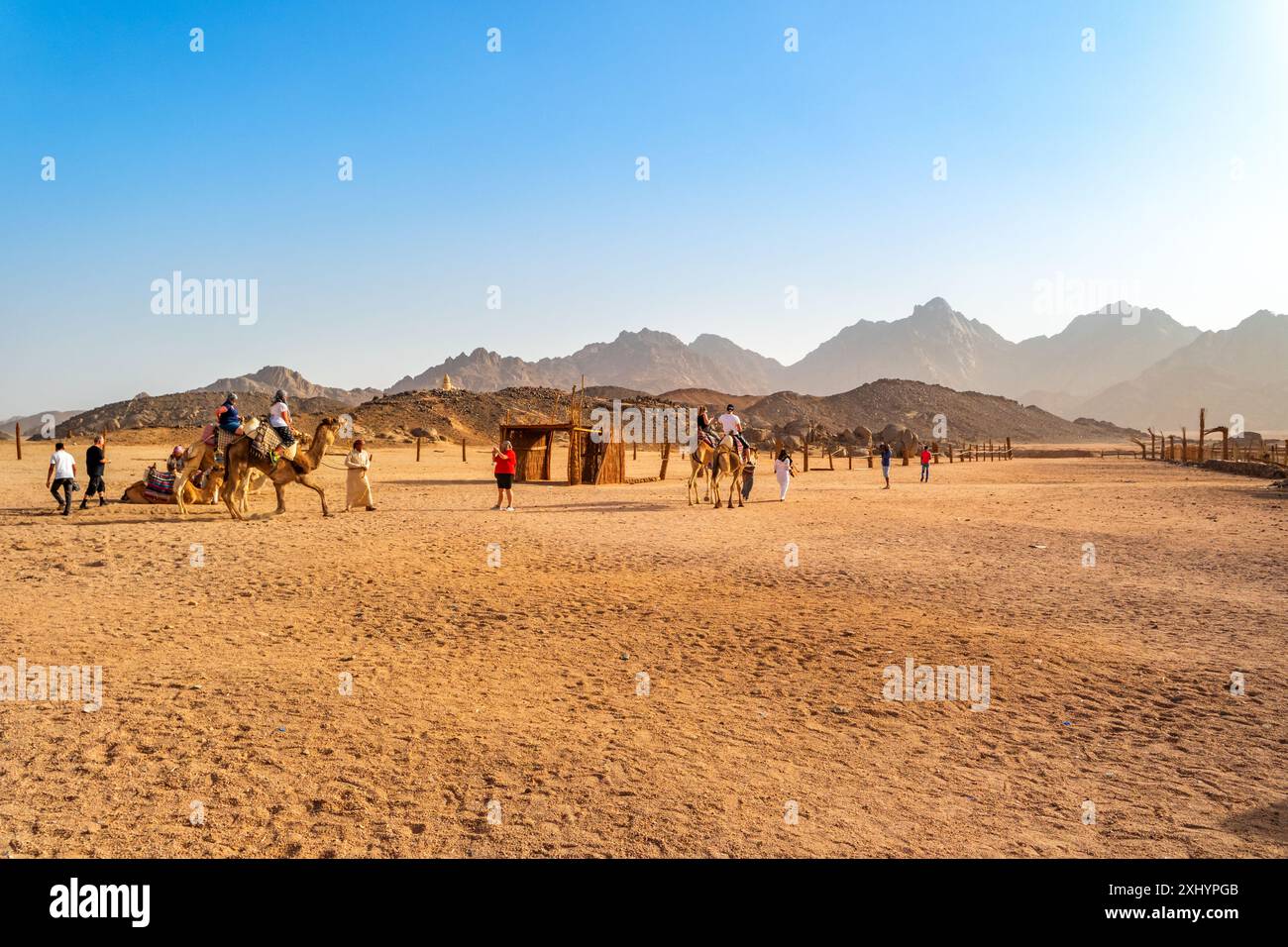 Bedouin Village, Oriental desert near Safafa, Egypt, Africa Stock Photo