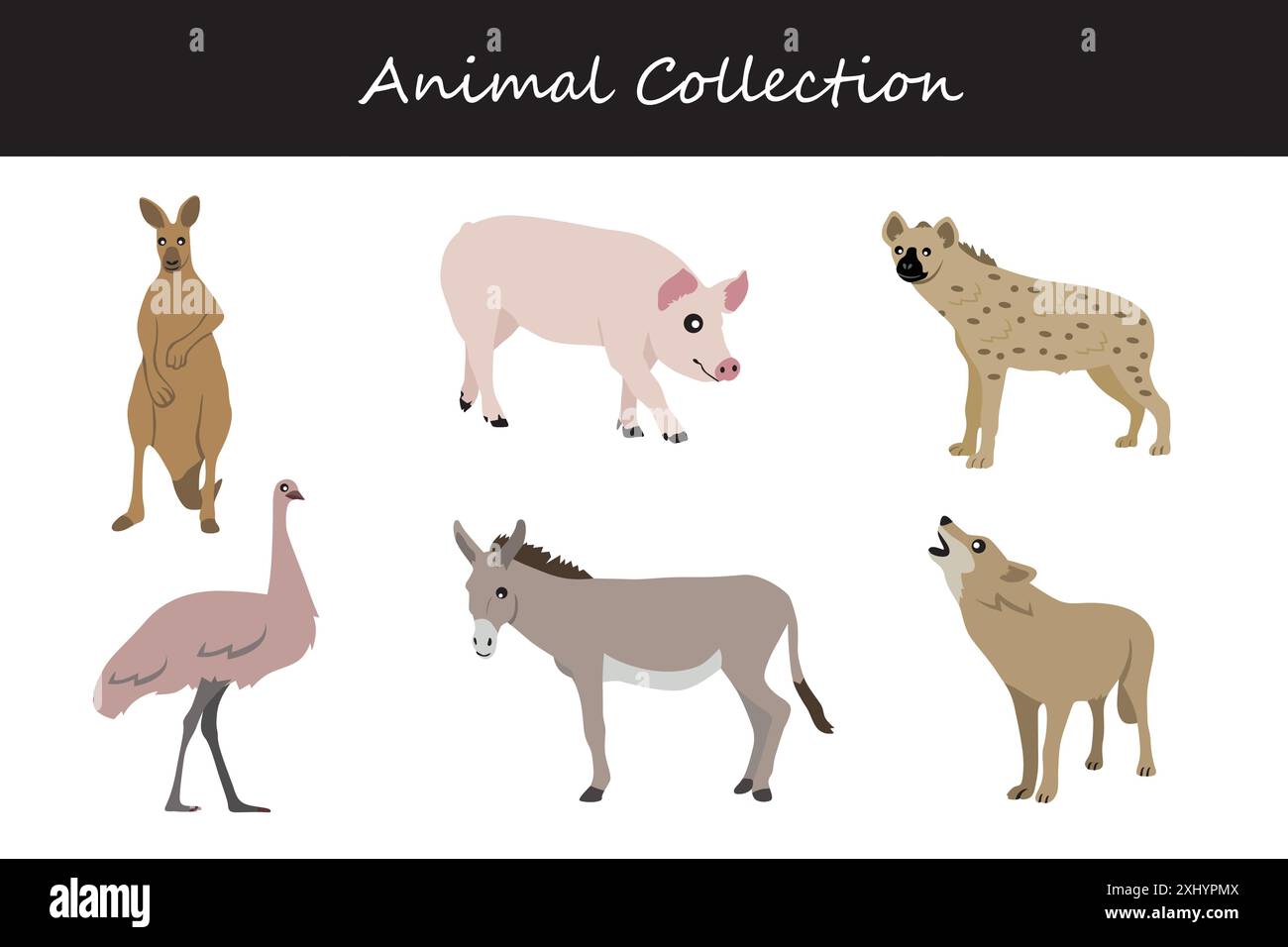 Animals collection. Flat style vector illustration Stock Vector Image ...