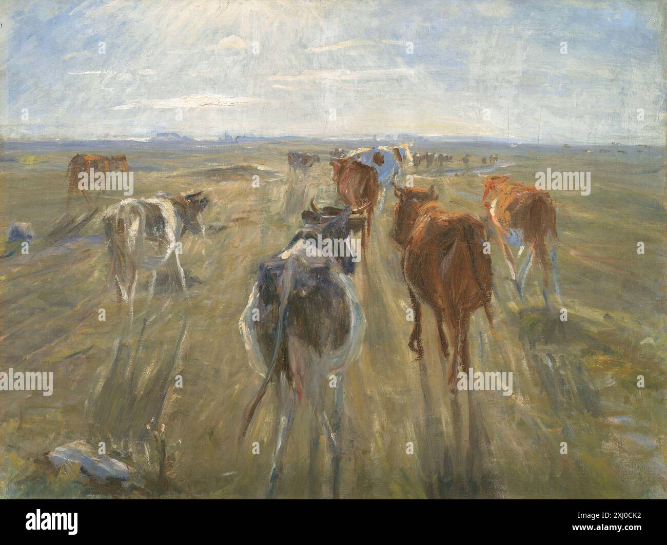 This painting by Theodor Philipsen depicts cattle casting long shadows