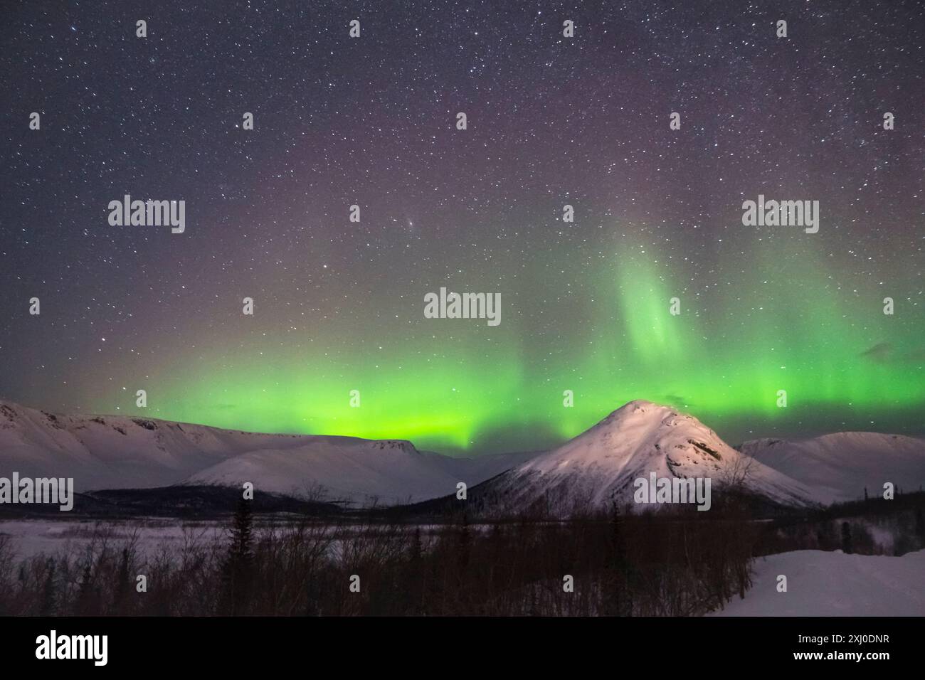 Night Starry Sky and Green Northern Lights in Snowy Mountains at Winter ...