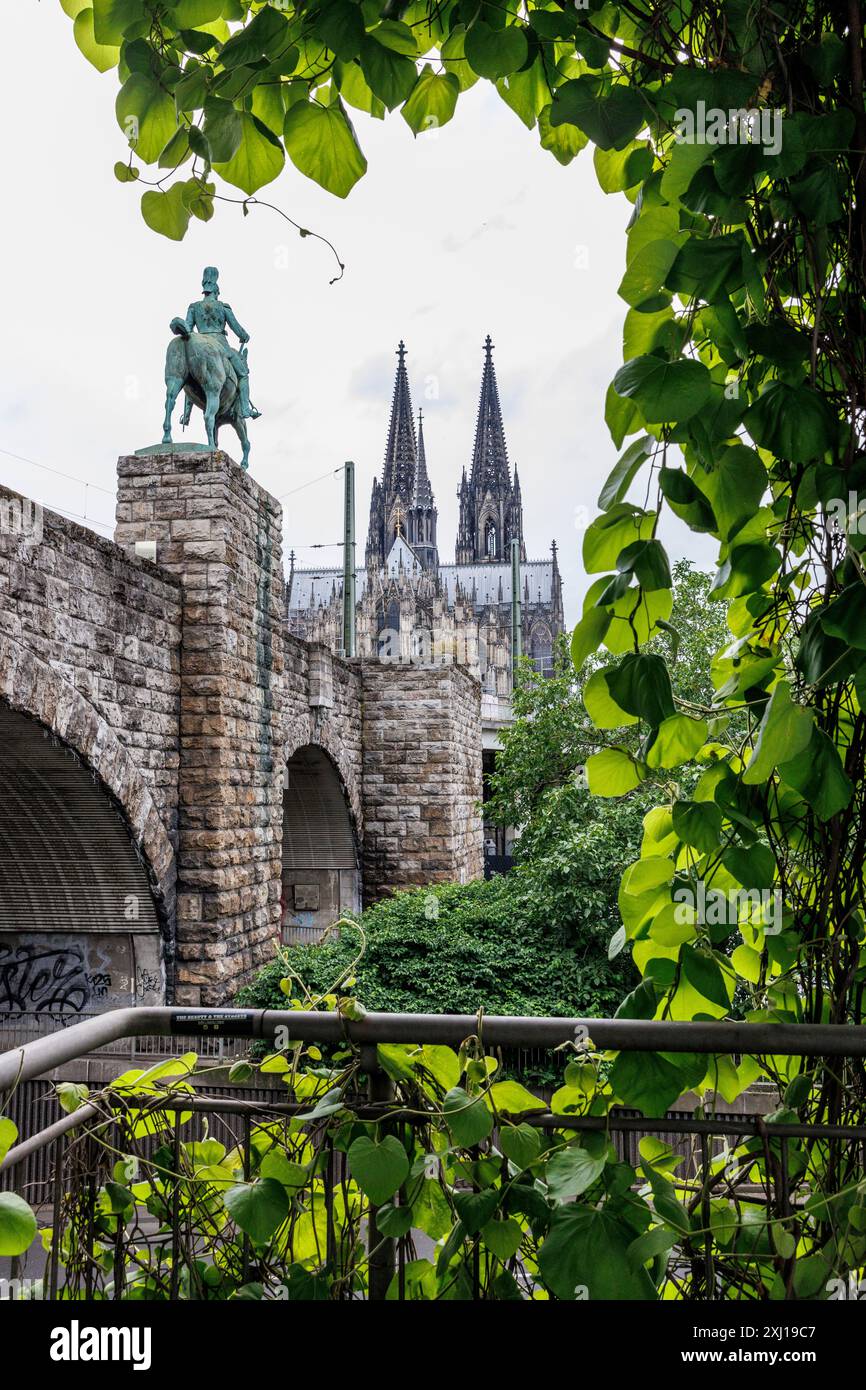 pipevine (Aristolochia macrophylla) growing on the staircase to Hohenzollern bridge, equestrian statue and cathedral, Cologne, Germany. Pfeifenwinde ( Stock Photo