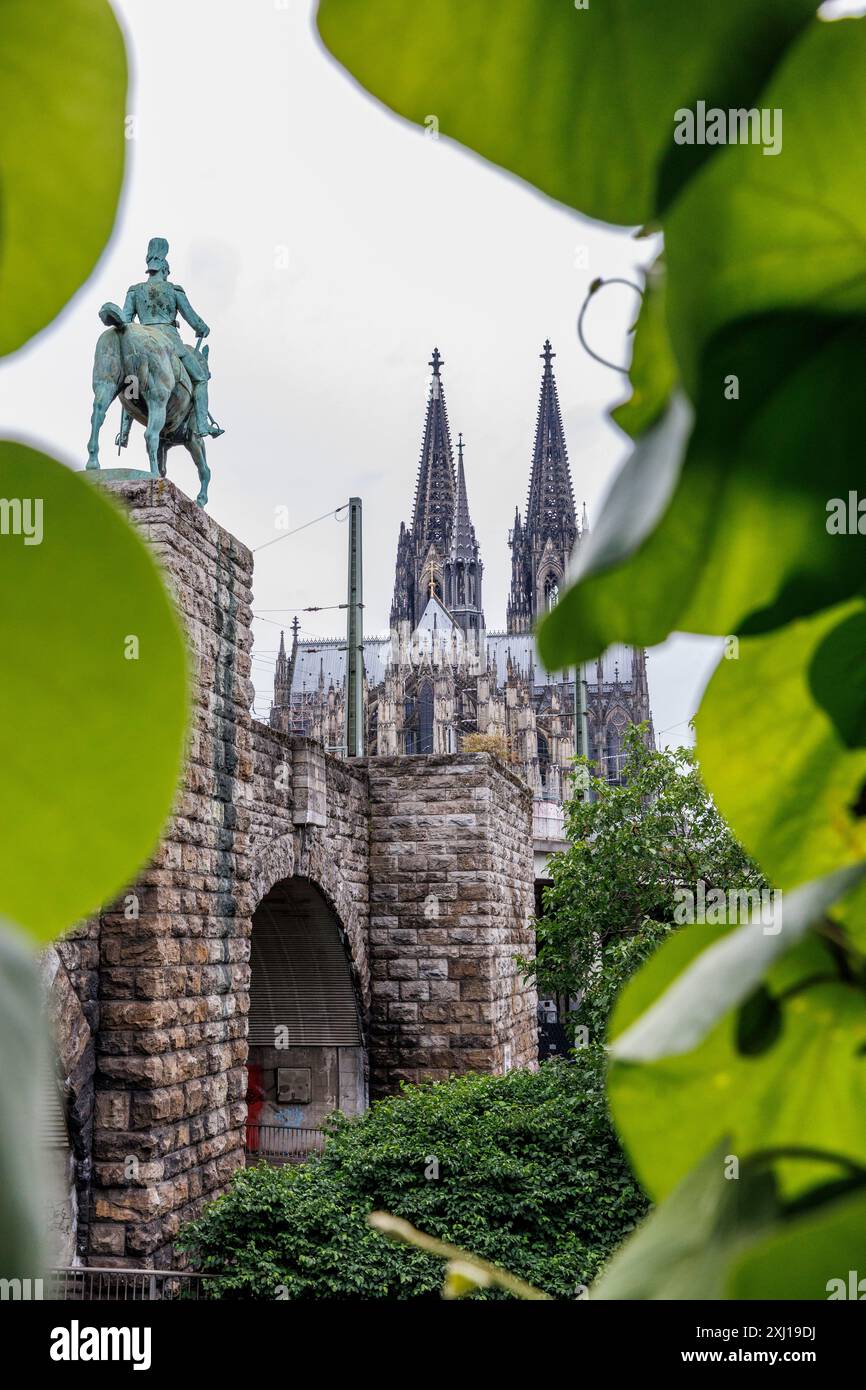 pipevine (Aristolochia macrophylla) growing on the staircase to Hohenzollern bridge, equestrian statue and cathedral, Cologne, Germany. Pfeifenwinde ( Stock Photo