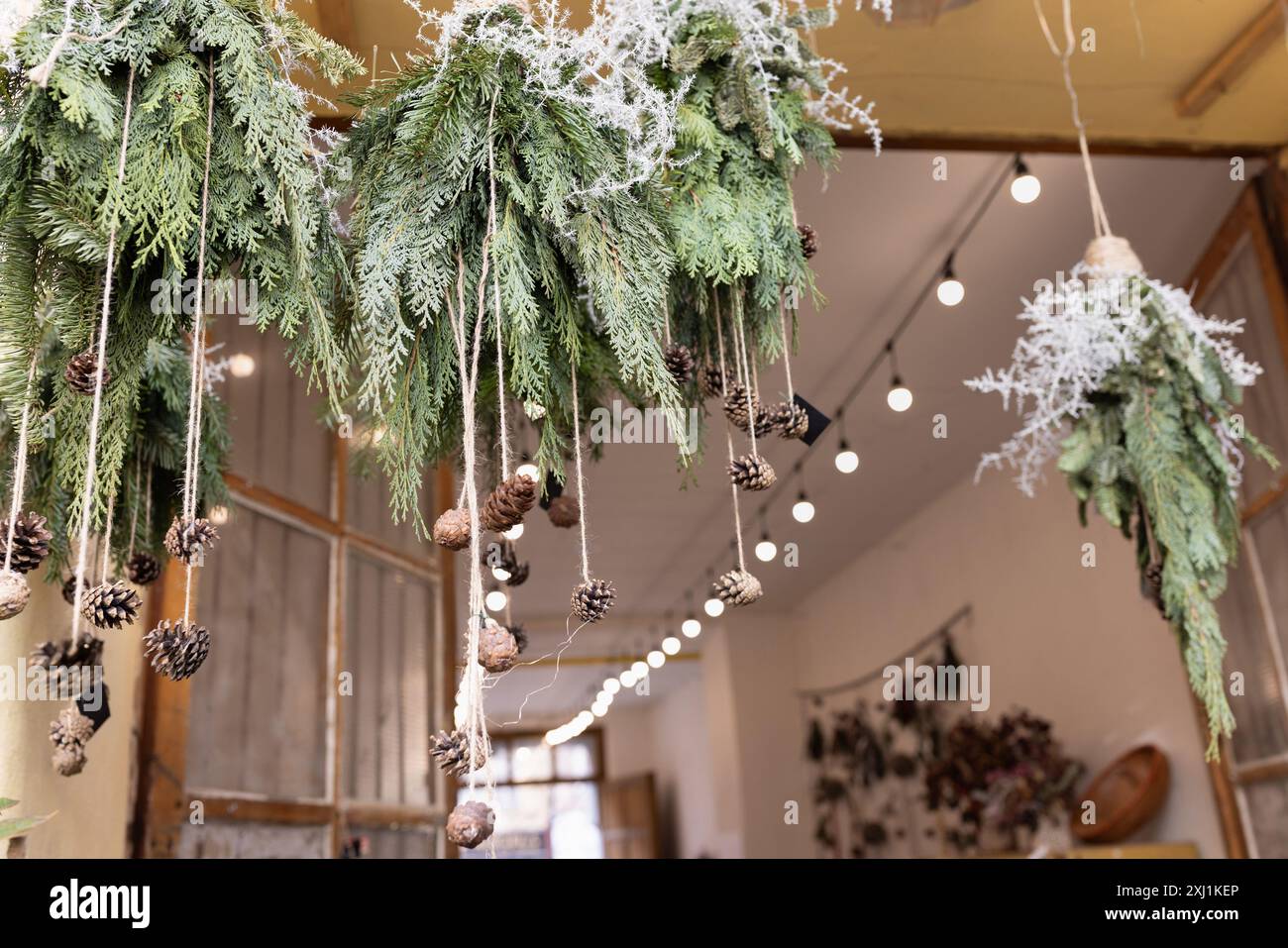 Greenery lights hi-res stock photography and images - Alamy