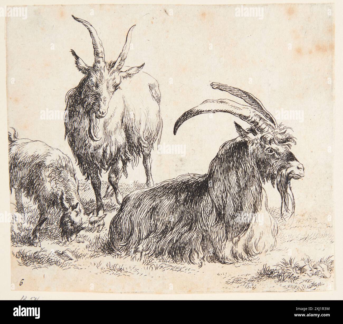 Berchem hi-res stock photography and images - Page 15 - Alamy, image size:1300x1228