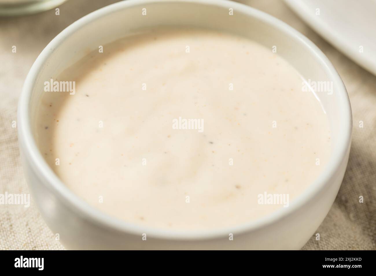 Homemade Alabama White Sauce for Chicken on the Barbecue Stock Photo ...