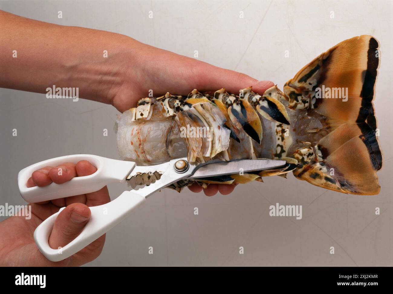 Cutting shell lobster tail hi-res stock photography and images - Alamy